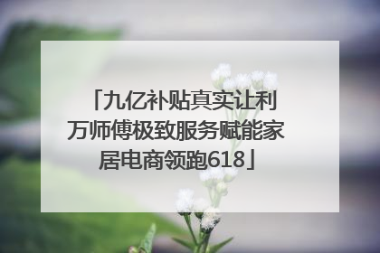 九亿补贴真实让利 万师傅极致服务赋能家居电商领跑618