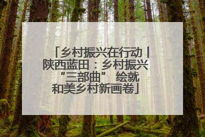乡村振兴在行动丨陕西蓝田：乡村振兴 “三部曲” 绘就和美乡村新画卷