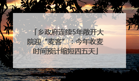 乡政府连续5年敞开大院迎“麦客”：今年收麦时间预计缩短四五天