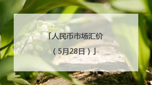 人民币市场汇价（5月28日）