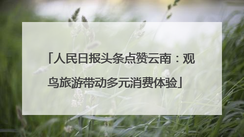 人民日报头条点赞云南：观鸟旅游带动多元消费体验