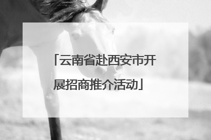 云南省赴西安市开展招商推介活动