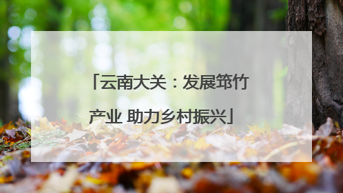 云南大关：发展筇竹产业 助力乡村振兴