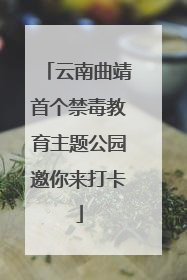 云南曲靖首个禁毒教育主题公园邀你来打卡