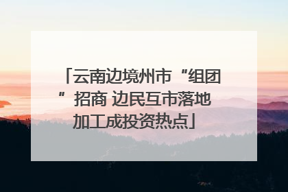 云南边境州市“组团”招商 边民互市落地加工成投资热点