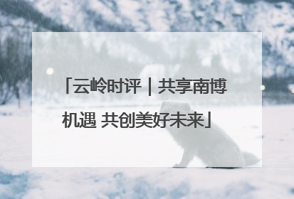 云岭时评｜共享南博机遇 共创美好未来