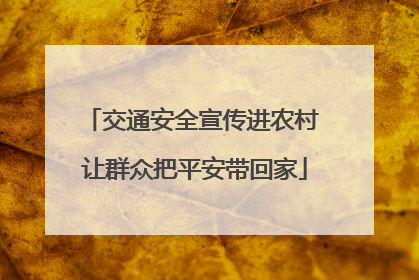 交通安全宣传进农村 让群众把平安带回家