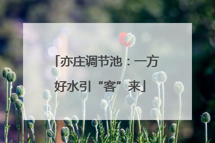 亦庄调节池：一方好水引“客”来