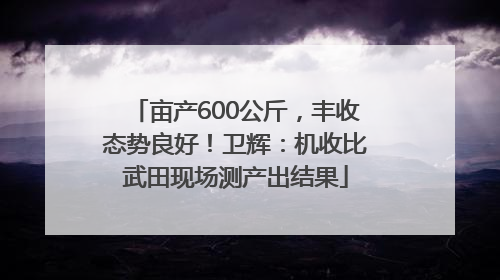 亩产600公斤，丰收态势良好！卫辉：机收比武田现场测产出结果
