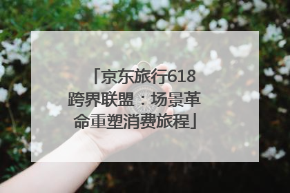 京东旅行618跨界联盟：场景革命重塑消费旅程