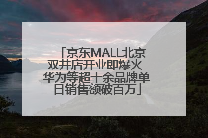 京东MALL北京双井店开业即爆火 华为等超十余品牌单日销售额破百万