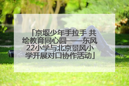 京堰少年手拉手 共绘教育同心圆——东风22小学与北京景风小学开展对口协作活动