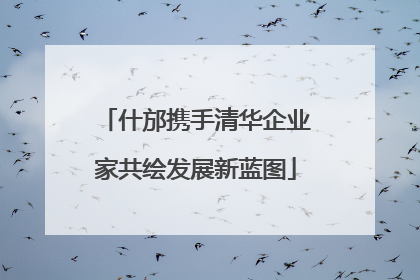 什邡携手清华企业家共绘发展新蓝图