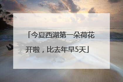 今夏西湖第一朵荷花开啦，比去年早5天