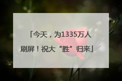 今天，为1335万人刷屏！祝大“胜”归来