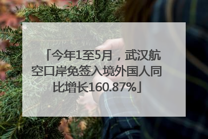 今年1至5月，武汉航空口岸免签入境外国人同比增长160.87%