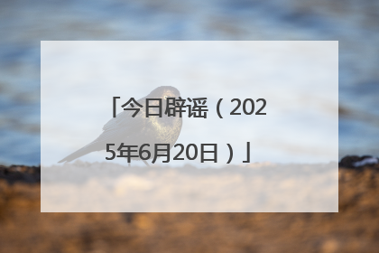 今日辟谣（2025年6月20日）