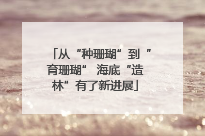 从“种珊瑚”到“育珊瑚” 海底“造林”有了新进展