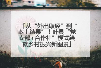 从“外出取经”到“本土结果”！叶县“党支部+合作社”模式绘就乡村振兴新图景