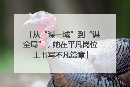 从“谋一域”到“谋全局”，她在平凡岗位上书写不凡篇章