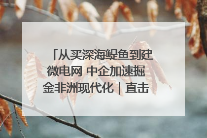 从买深海鳀鱼到建微电网 中企加速掘金非洲现代化｜直击中非经贸博览会