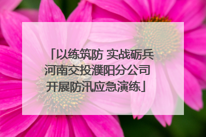 以练筑防 实战砺兵 河南交投濮阳分公司开展防汛应急演练
