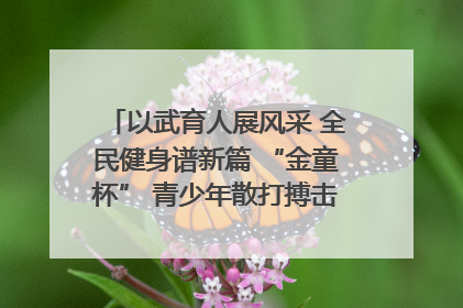 以武育人展风采 全民健身谱新篇 “金童杯” 青少年散打搏击邀请赛圆满落幕