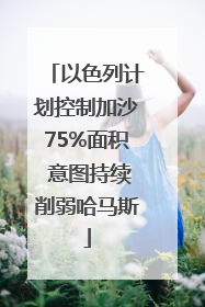 以色列计划控制加沙75%面积 意图持续削弱哈马斯