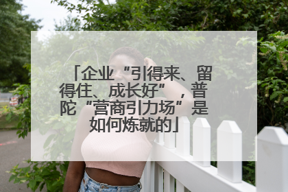 企业“引得来、留得住、成长好”，普陀“营商引力场”是如何炼就的