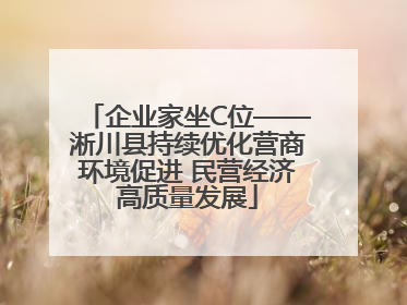 企业家坐C位——淅川县持续优化营商环境促进 民营经济高质量发展