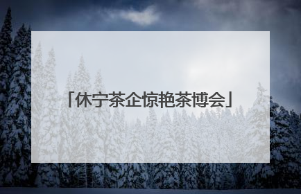 休宁茶企惊艳茶博会