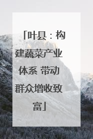 叶县：构建蔬菜产业体系 带动群众增收致富