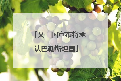 又一国宣布将承认巴勒斯坦国