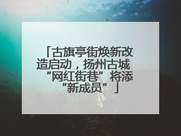 古旗亭街焕新改造启动，扬州古城“网红街巷”将添“新成员”