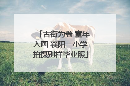 古街为卷 童年入画 襄阳一小学拍摄别样毕业照