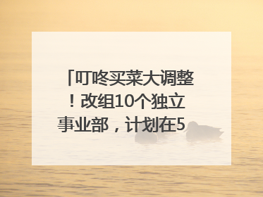 叮咚买菜大调整！改组10个独立事业部，计划在5月完成App端全面改版