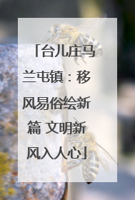 台儿庄马兰屯镇：移风易俗绘新篇 文明新风入人心