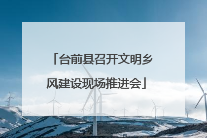 台前县召开文明乡风建设现场推进会