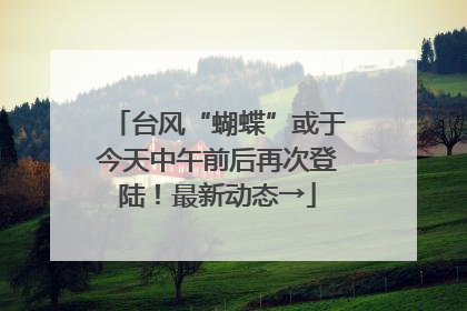 台风“蝴蝶”或于今天中午前后再次登陆！最新动态→