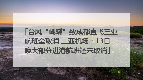 台风“蝴蝶”致成都直飞三亚航班全取消 三亚机场：13日晚大部分进港航班还未取消