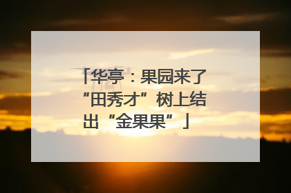 华亭：果园来了“田秀才”树上结出“金果果”