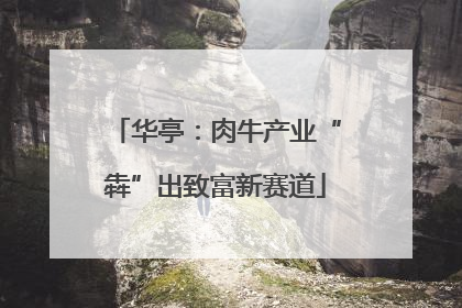 华亭：肉牛产业“犇”出致富新赛道