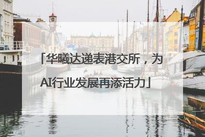 华曦达递表港交所，为AI行业发展再添活力