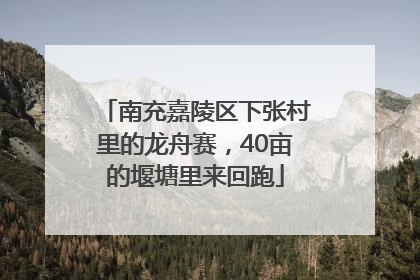 南充嘉陵区下张村里的龙舟赛，40亩的堰塘里来回跑