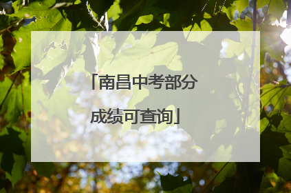 南昌中考部分成绩可查询