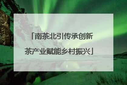 南茶北引传承创新 茶产业赋能乡村振兴