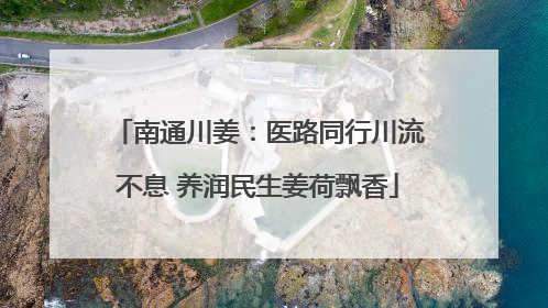 南通川姜：医路同行川流不息 养润民生姜荷飘香