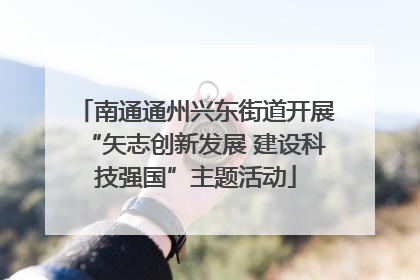 南通通州兴东街道开展“矢志创新发展 建设科技强国”主题活动