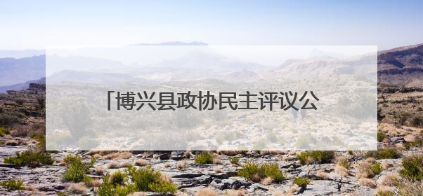 博兴县政协民主评议公安工作：实地检阅现代警务改革“数字答卷”