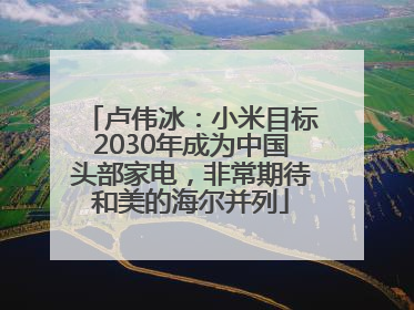 卢伟冰：小米目标2030年成为中国头部家电，非常期待和美的海尔并列